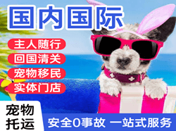 白莲空运国际宠物托运 【国